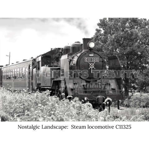 鉄道写真コレクション No.003 蒸気機関車 C11325