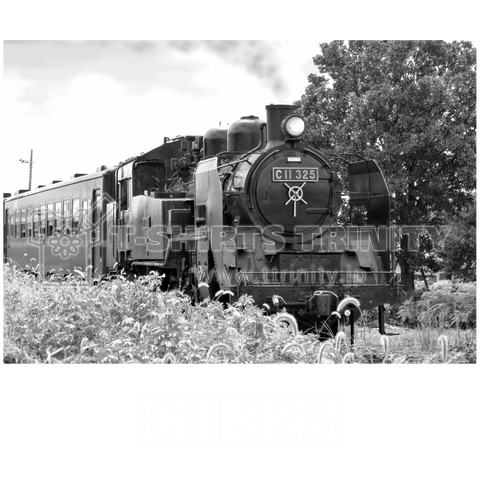 鉄道写真コレクション No.014  走行中の蒸気機関車 C11325 (白い文字)