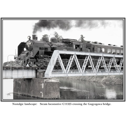 鉄道写真コレクション No.013  五行川橋梁を渡る C11325 (煙つき)