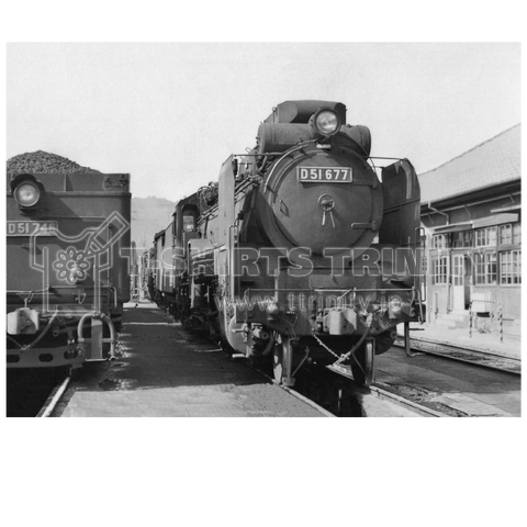 ヴィンテージ鉄道写真 No.013 出発待ちのD51型蒸気機関車たち、新見機関区にて (白い文字)