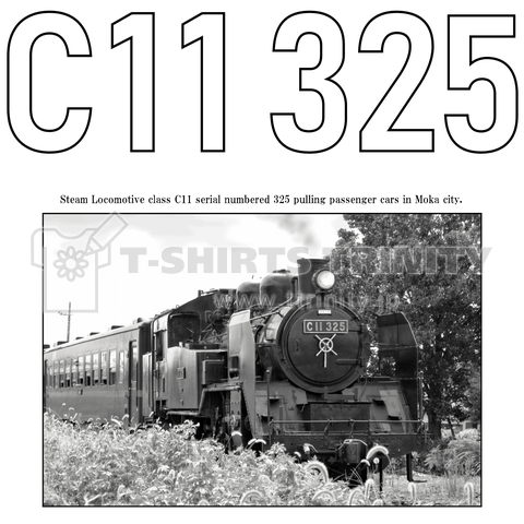 鉄道写真コレクション No.014  蒸気機関車 C11325 (大きいレタリング・白ぬき)