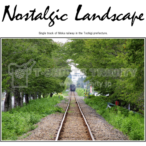 鉄道写真コレクション No.005  栃木県、真岡市 去り行く C11325 (Nostalgicのロゴ/黒文字)