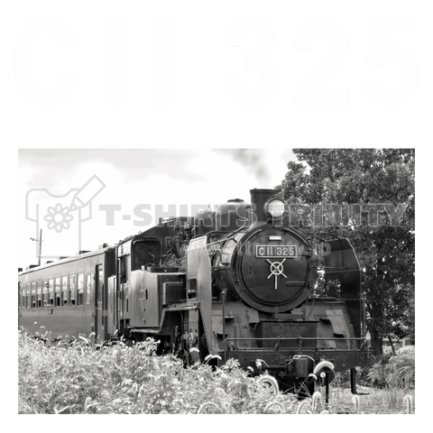 鉄道写真コレクション No.014 蒸気機関車 C11325 (大きいレタリング・白)