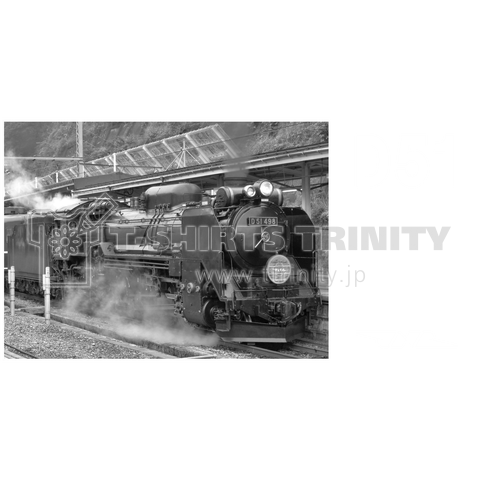 鉄道写真コレクション No.031 水上駅に停車する D51498 (白い文字)