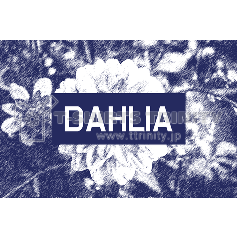 Dahlia