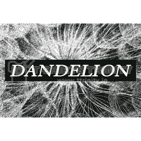 Dandelion