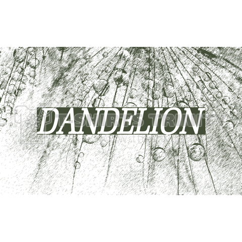 Dandelion