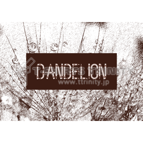 Dandelion