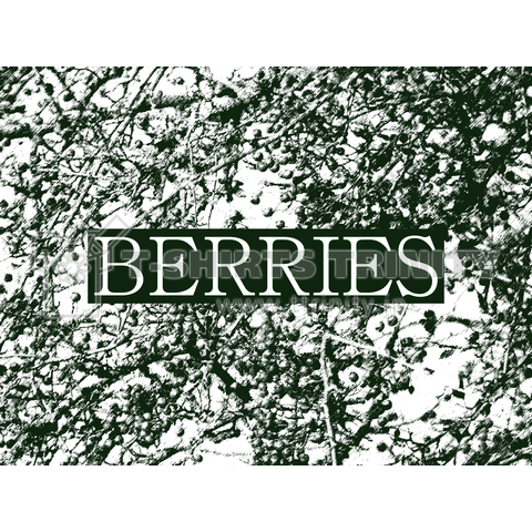 Berries