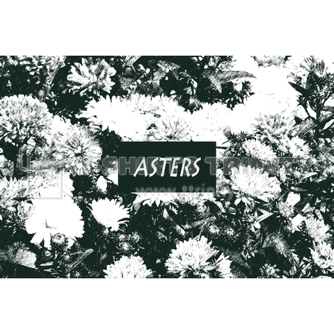 Asters