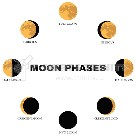 MOON PHASES(月の満ち欠け)片面