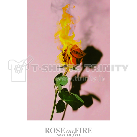 Rose on Fire