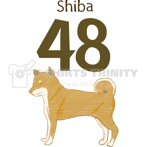 できた!柴犬48Tシャツ★