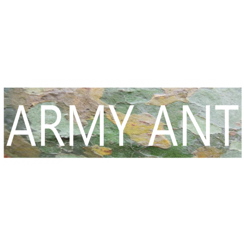 ARMY ANT