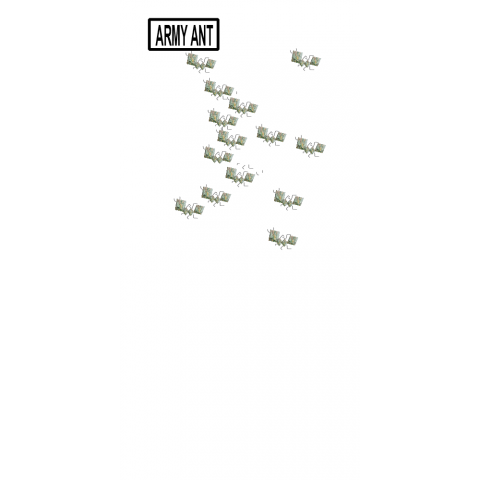 ARMY ANT