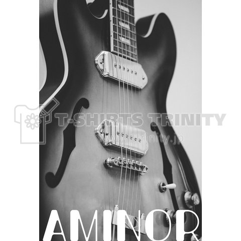 Guitar - AMINOR