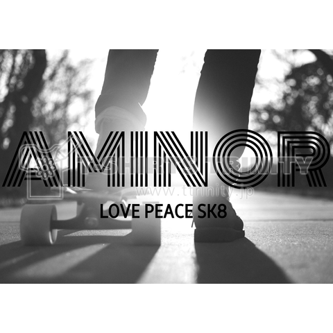 LOVE PEACE SK8