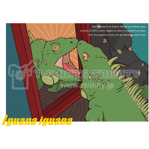 Iguana iguana 鏡バトル