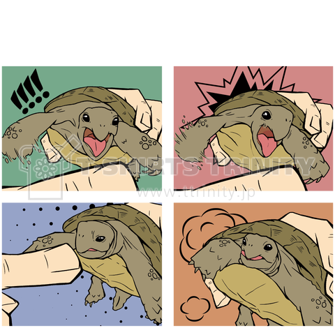 TURTLE LIFEシリーズ