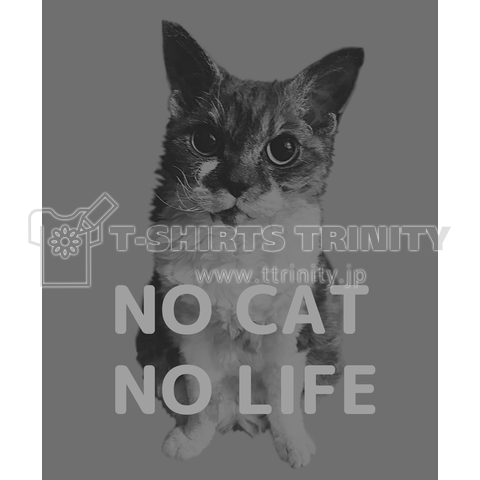 NO CAT NO LIFE