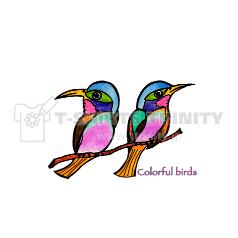 Colorful birds -1-