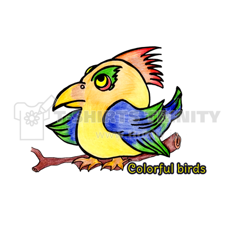 Colorful birds-4-