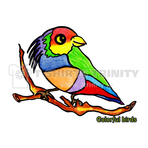 Colorful birds-6-