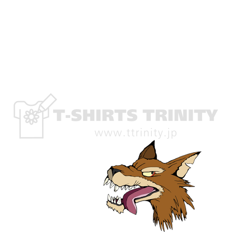 BEN BROWN BAND3