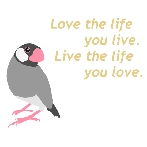 love the life you live.