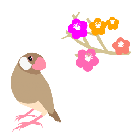 梅の花と文鳥