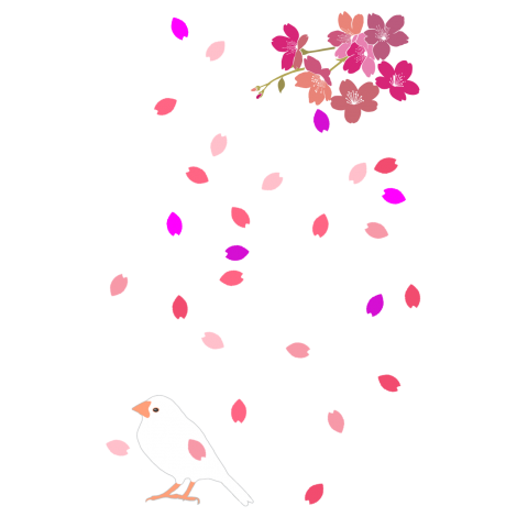 桜吹雪 白文鳥 デザインtシャツ通販 Tシャツトリニティ