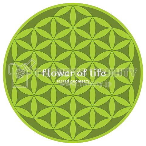 神聖幾何学/FLOWER OF LIFE-04