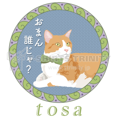Tosa猫01