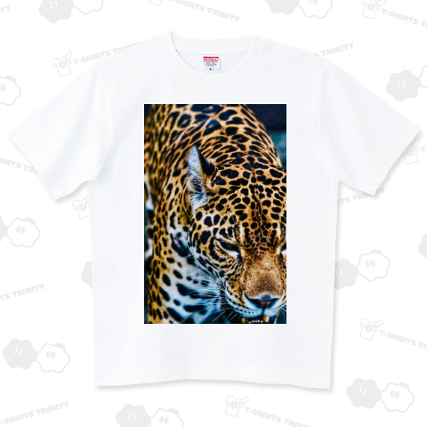 Panthera onca 2