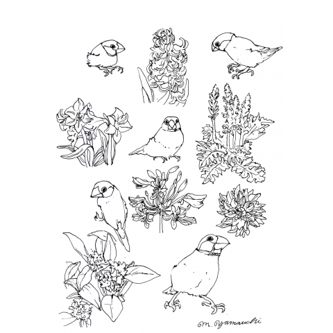BIRDS AND PLANTS DRAWING