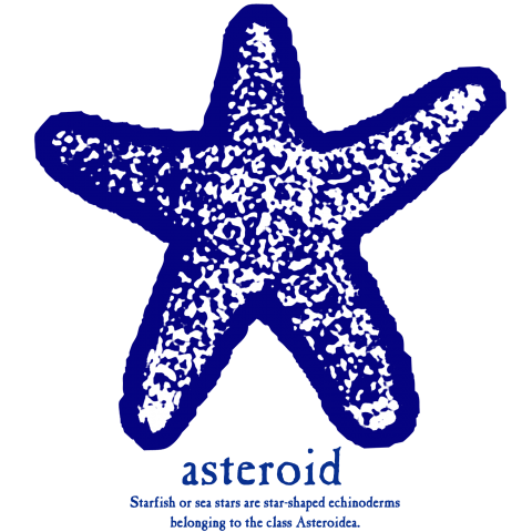 STARFISH★asteroid01