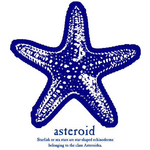 STARFISH★asteroid02