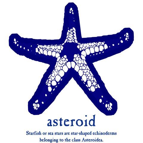 STARFISH★asteroid03