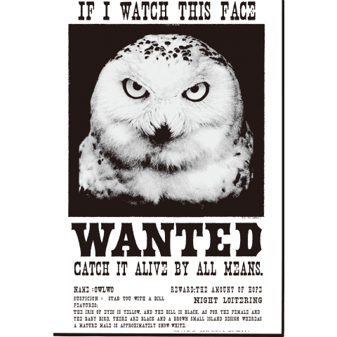 ANIMAL WANTED-D