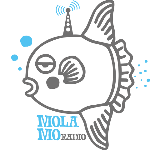 Mola mo-RADIO B