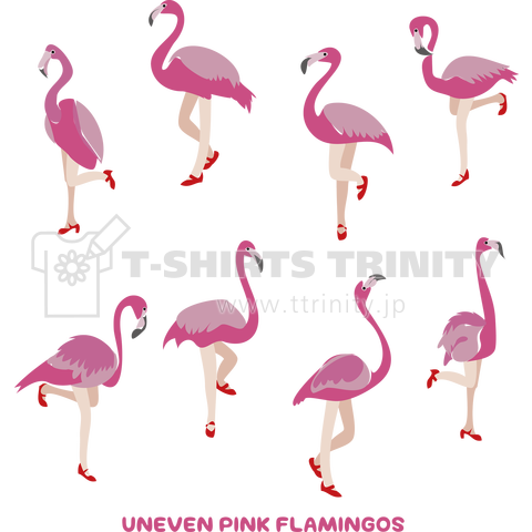 Dance flamingo_A