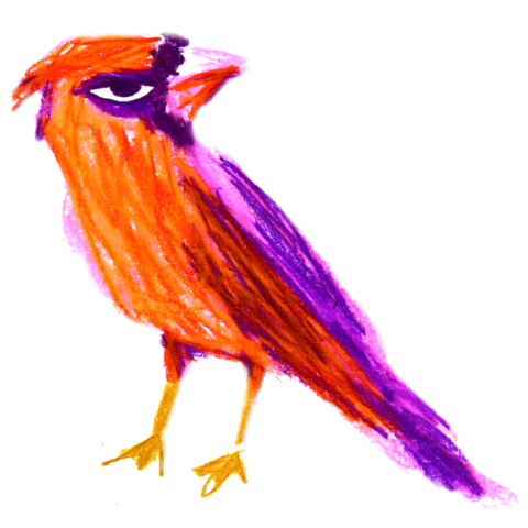 BIRD