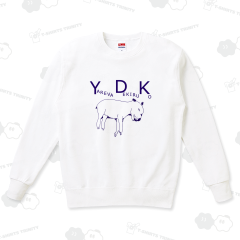 ユーモアTシャツ「YDK」