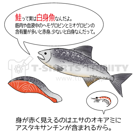 鮭は白身魚