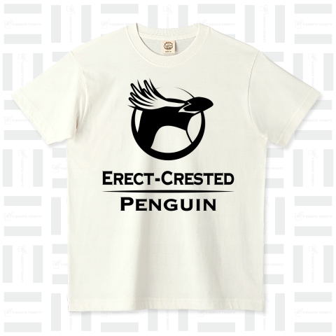 シュレーターペンギン(マユダチペンギン)(黒) Erect-Crested Penguin