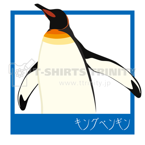 飛び出す動物 キングペンギン デザインtシャツ通販 Tシャツトリニティ