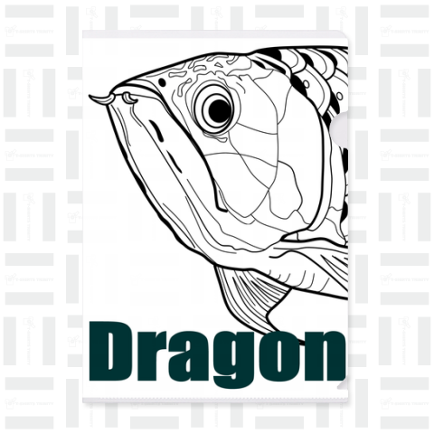 アジアアロワナ(龍魚・Dragon)