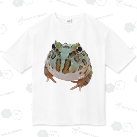 Pacman Frog(ベルツノガエル)