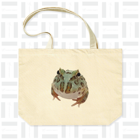 Pacman Frog(ベルツノガエル)