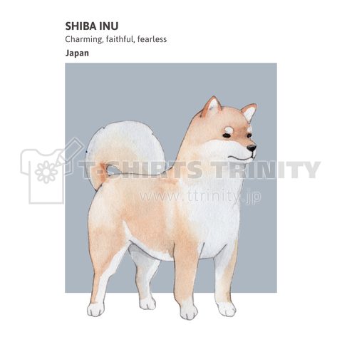 柴犬 ID Shiba Inu